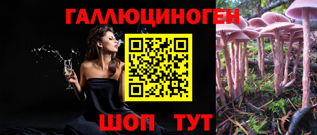 Галлюциногенные грибы ЛСД Новочебоксарск