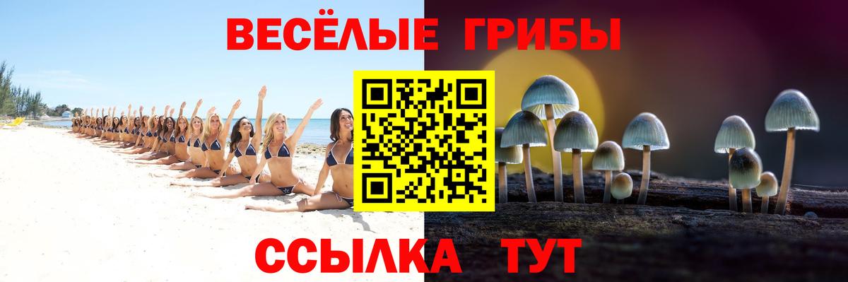 Новочебоксарск  Галлюциногенные грибы Psilocybe  Вход с VPN 
